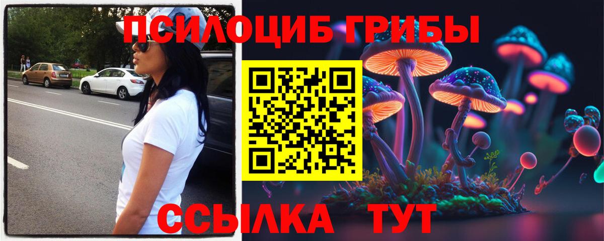 Владимир  Псилоцибиновые грибы мухоморы  Галлюциногенные грибы ЛСД  Вход с VPN 